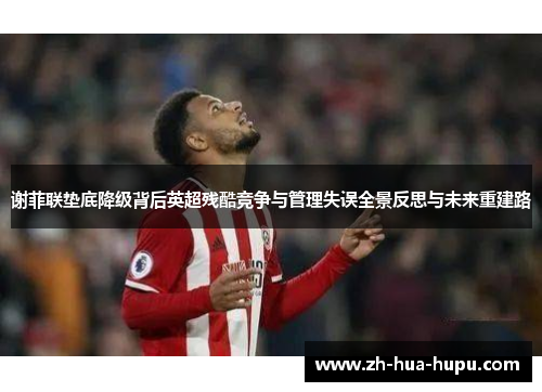 谢菲联垫底降级背后英超残酷竞争与管理失误全景反思与未来重建路